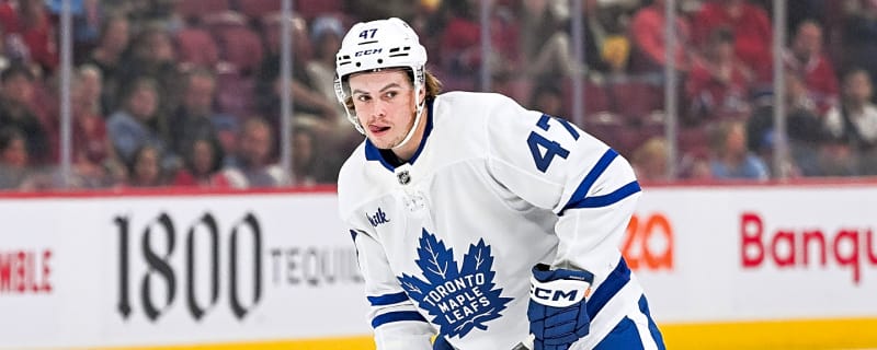 Whatever Happened to Maple Leafs Prospect Topi Niemelä?