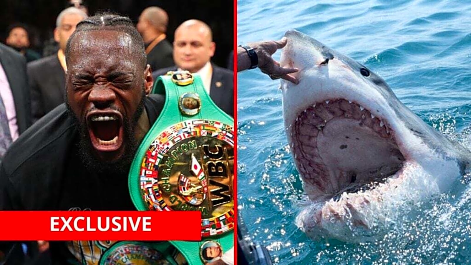 Deontay Wilder tells crazy story of coming face to face with sharks… ‘Never panic’