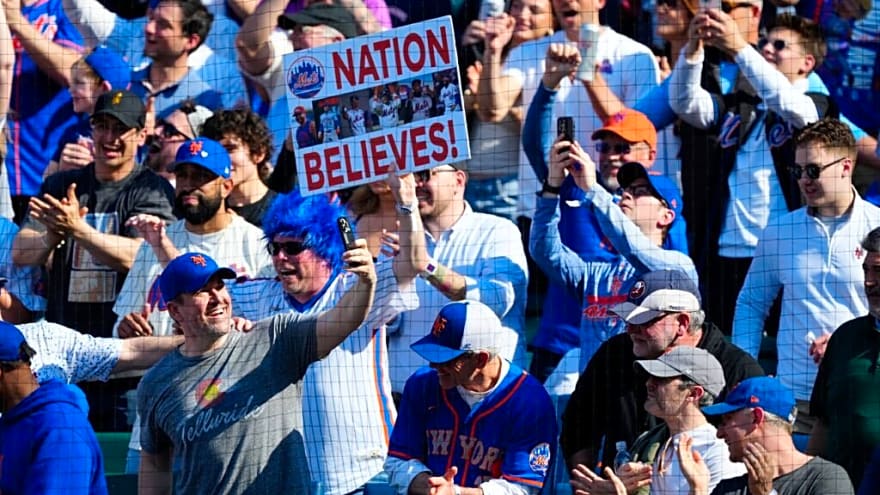 Fan Gets Arrested For Disgusting Act Towards Female At Mets-Twins Game 