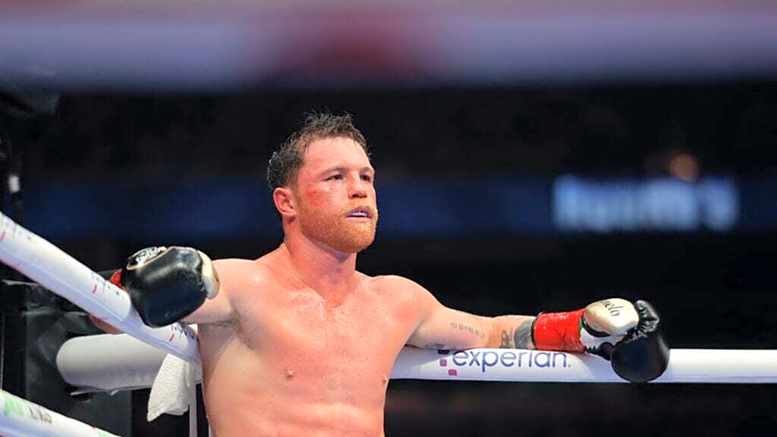 Canelo Alvarez receives fresh blow to Terence Crawford rematch chase in new development