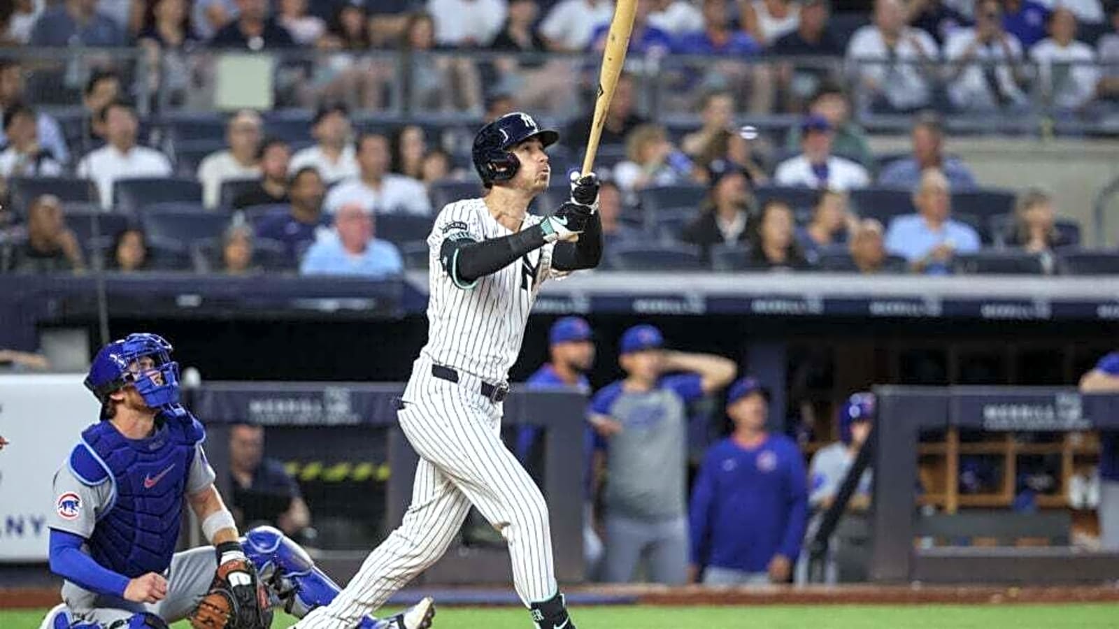 Latest Cubs rumors: Bellinger, Bregman, Bichette sweepstakes