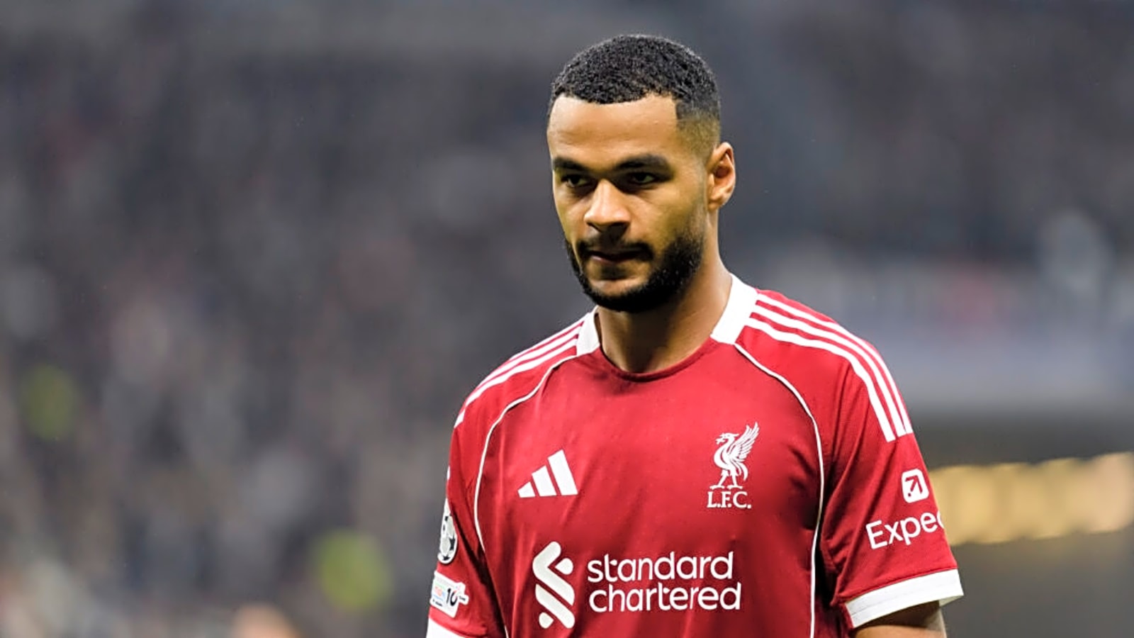 Mark Clattenburg delivers opinion on Cody Gakpo’s potential penalty in 3-2 Liverpool loss