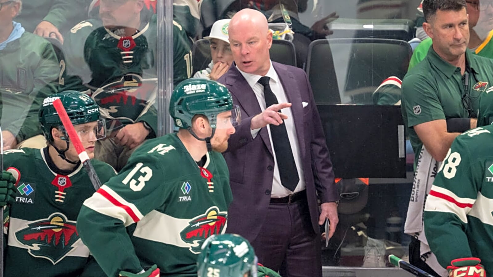 Minnesota Wild Suddenly Dump Veteran Defenseman