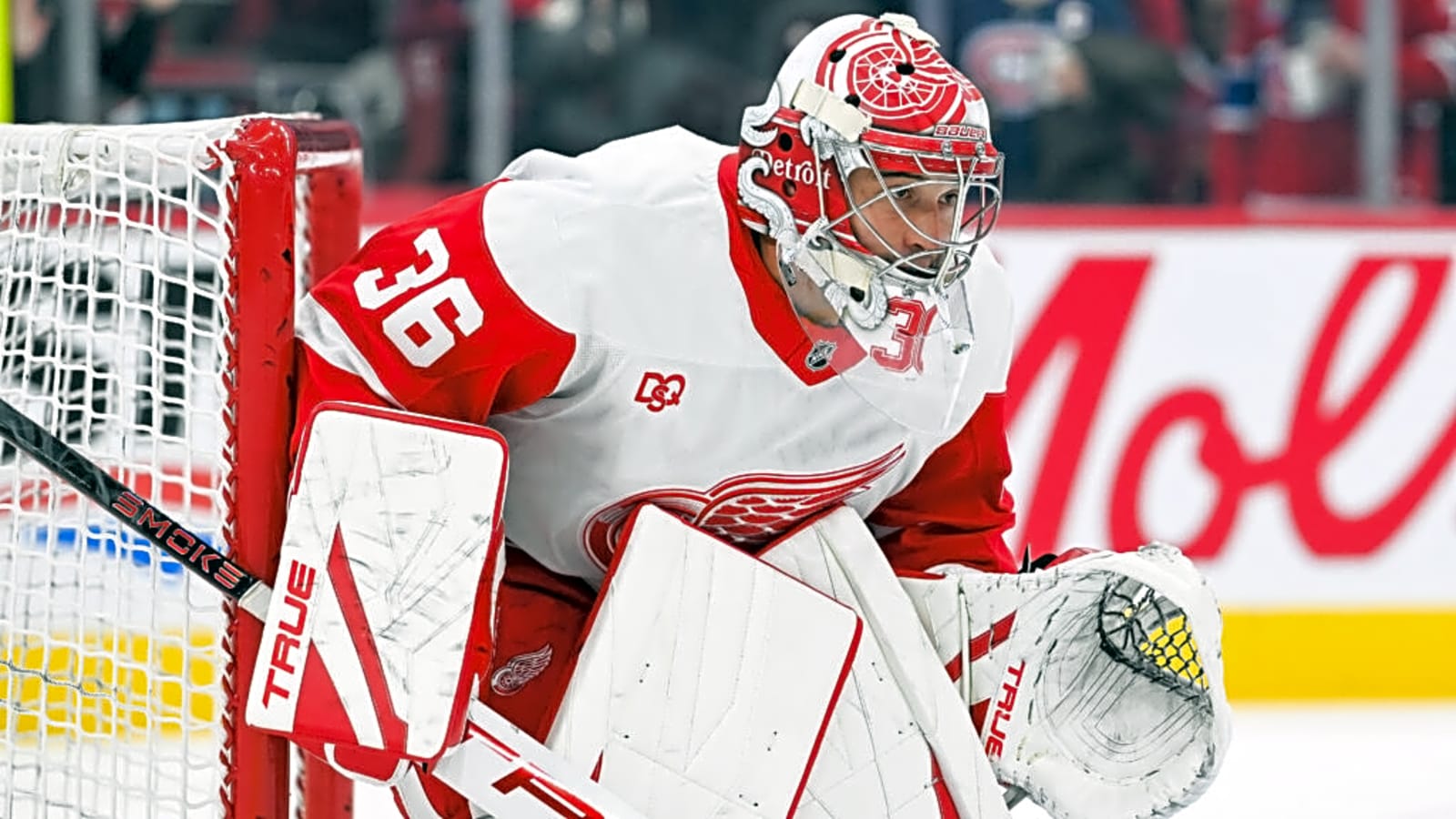 Detroit Red Wings Announce John Gibson News on Tuesday