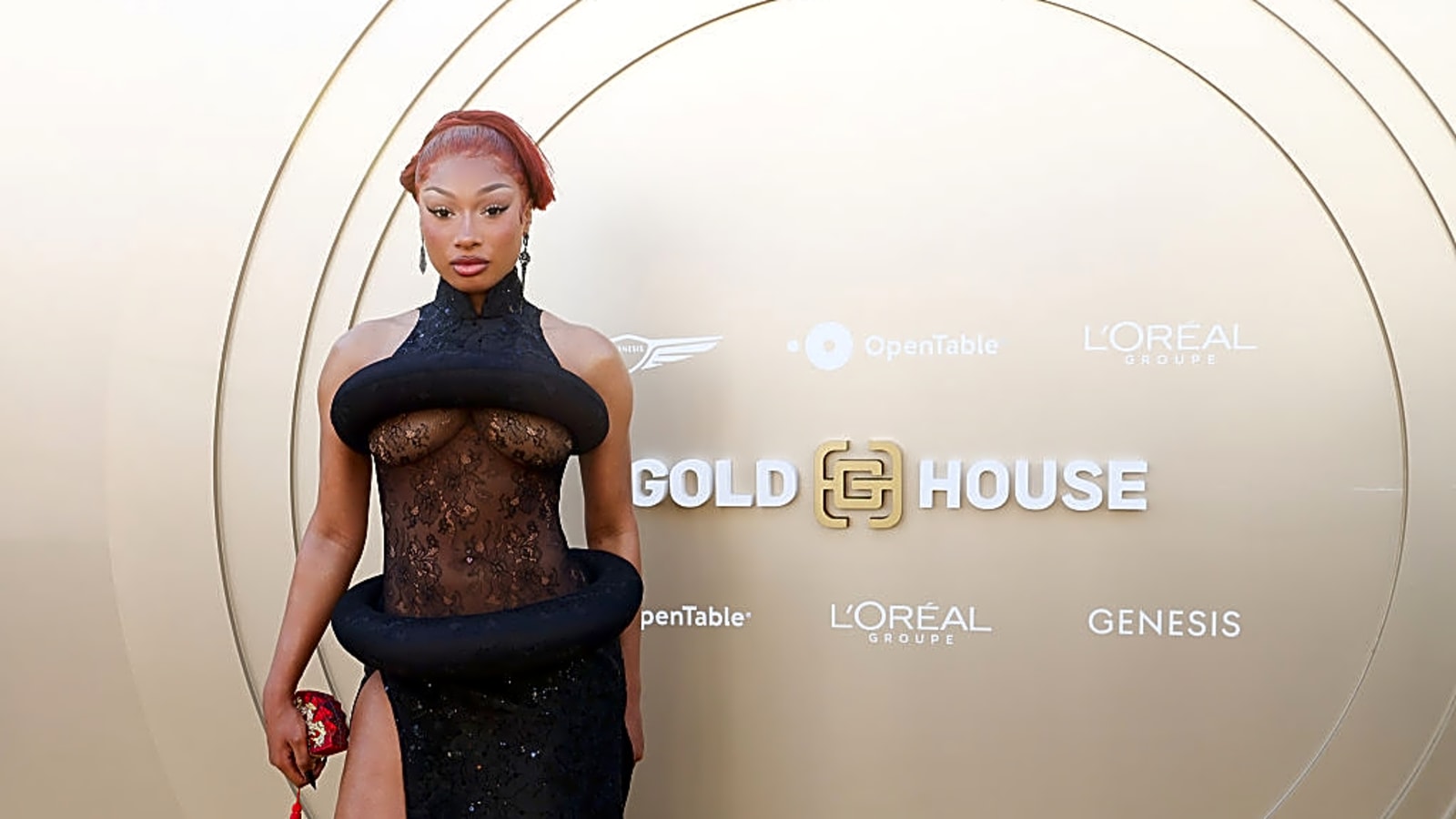 Megan Thee Stallion&#39;s Deleted TikTok Hints at Klay Thompson Romance