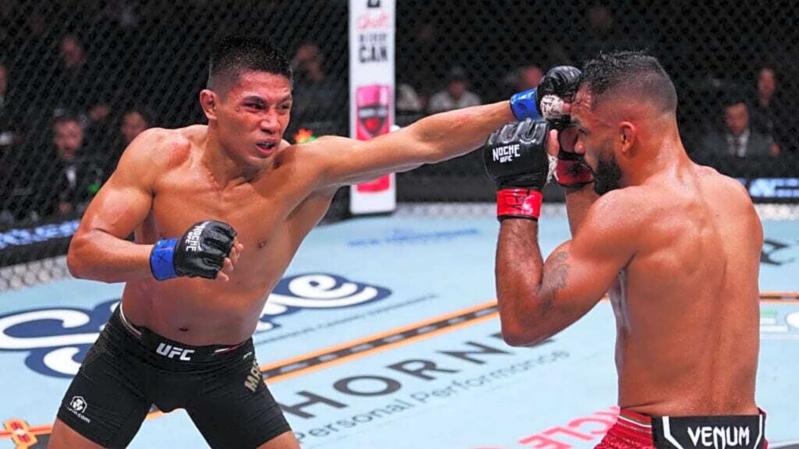 UFC rising star with medical career speaks out on interest in Octagon doctor role