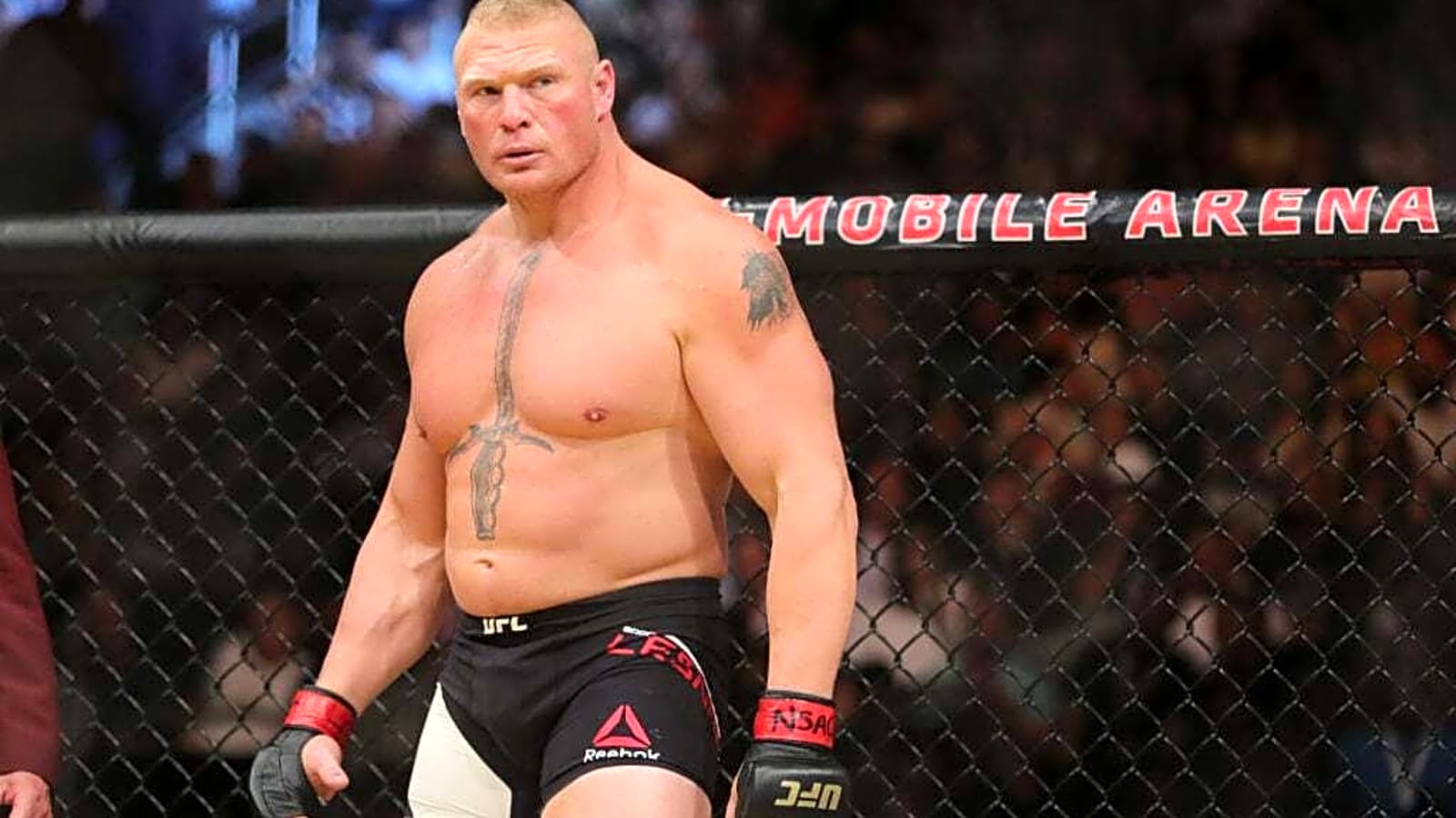 Ex-UFC star who faced Brock Lesnar and Chuck Liddell reveals the hardest puncher he met