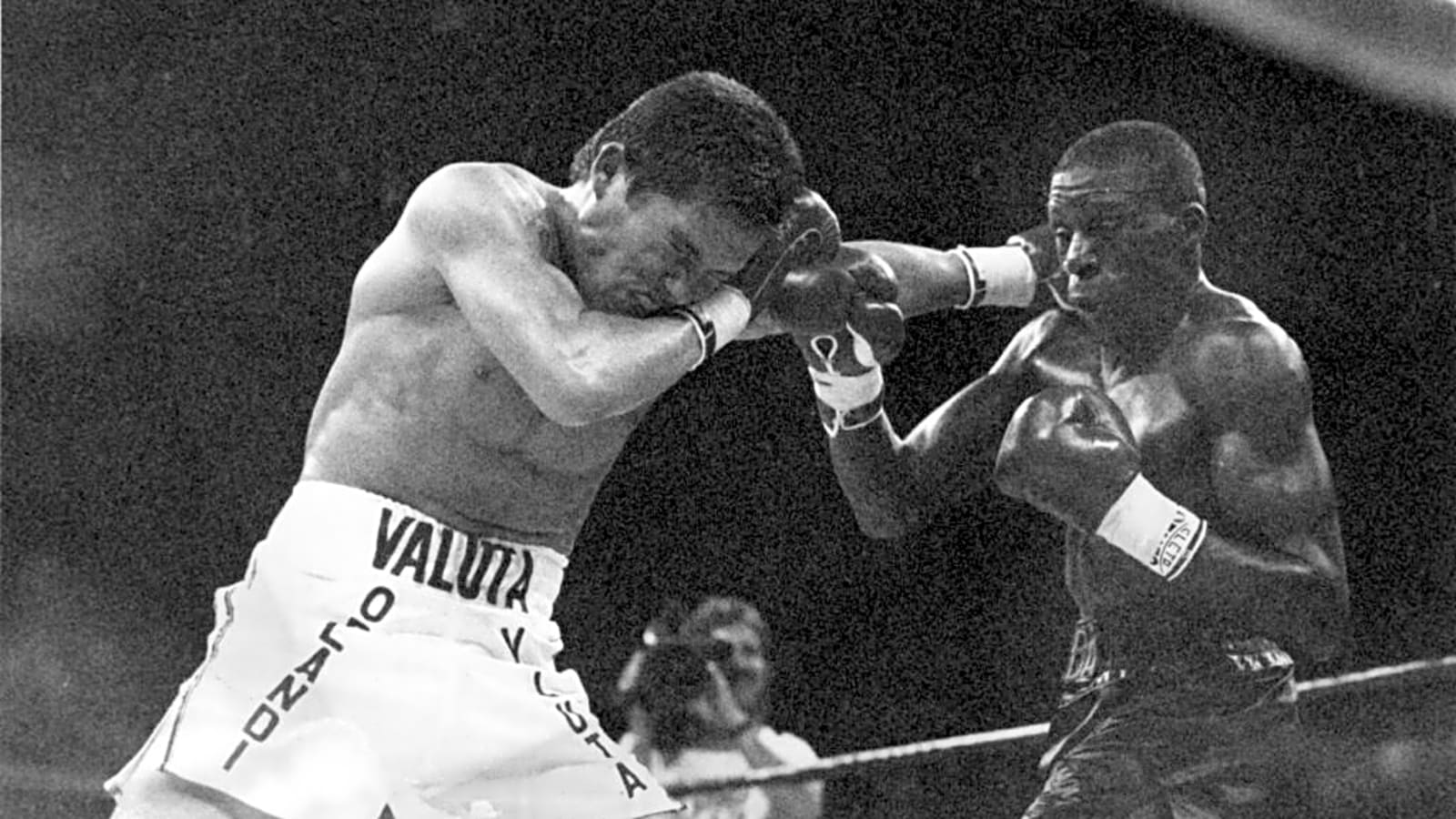 Julio Cesar Chavez boasts that he&#39;d &#39;definitely beat undefeated former world champion