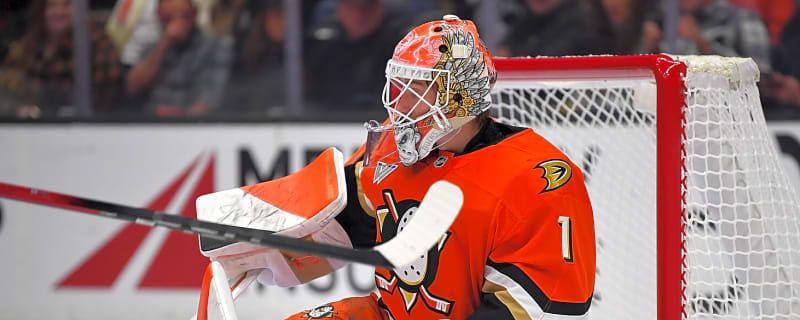 Ducks have major concern pop up with Lukas Dostal update