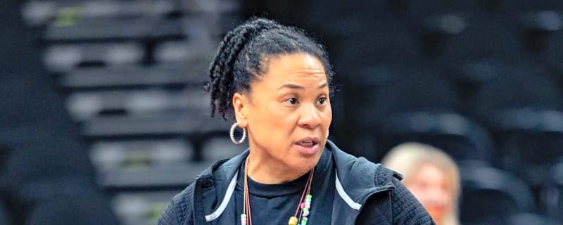 How Zaniya Johnson fits at South Carolina