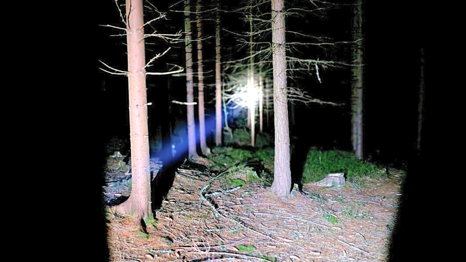 Chilling Details Emerge in Case of Hiker Missing in Canada