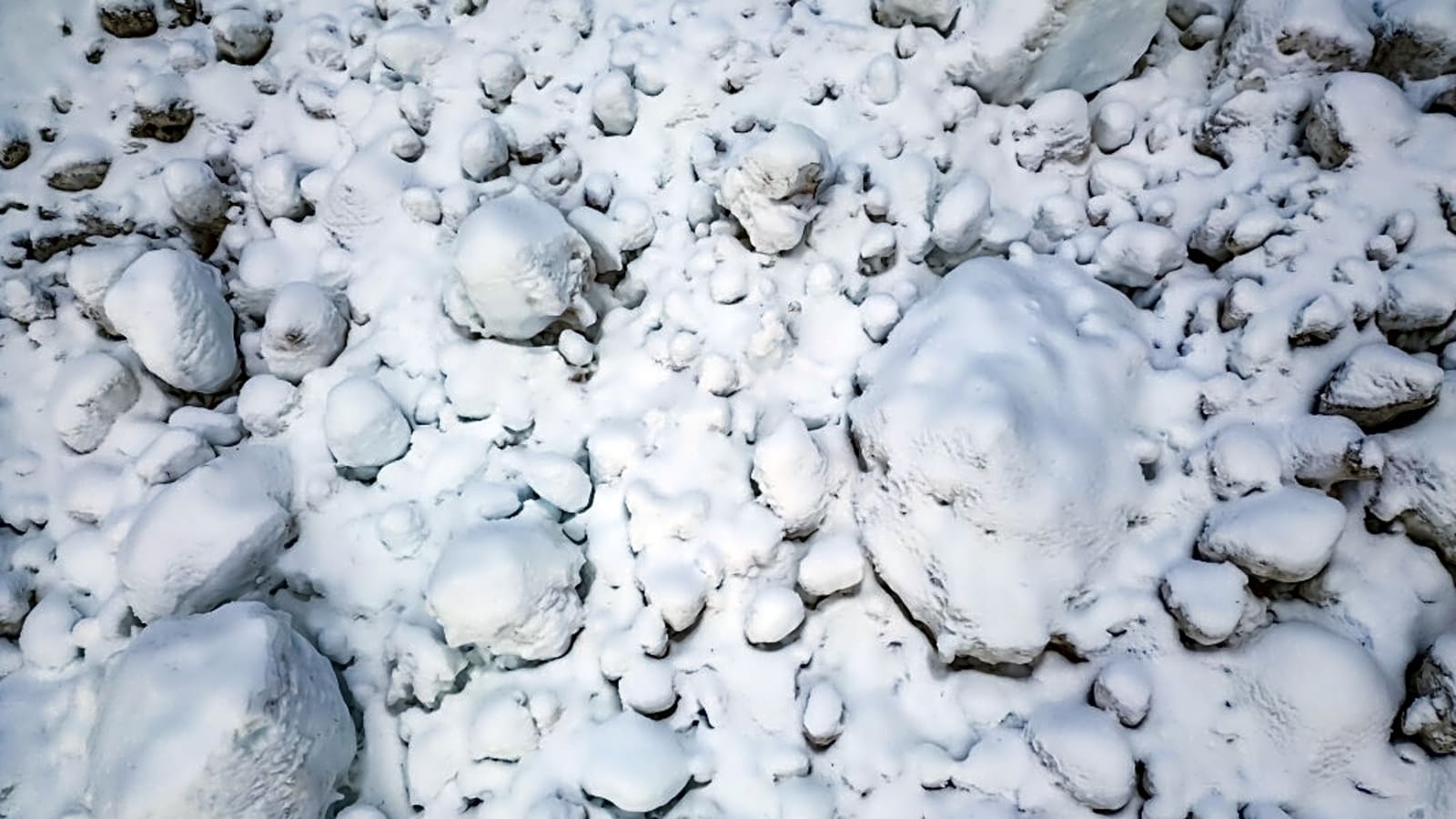 1 of 3 Bodies Recovered Months After Fatal Alaskan Avalanche