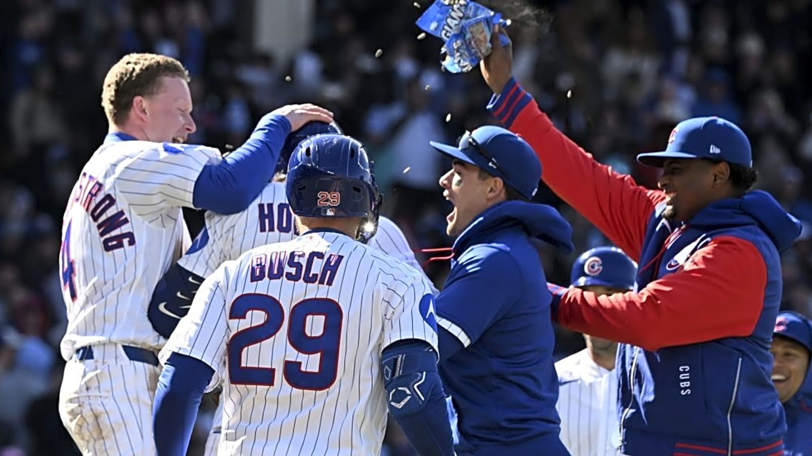 The Chicago Cubs have succeeded in spite of everything