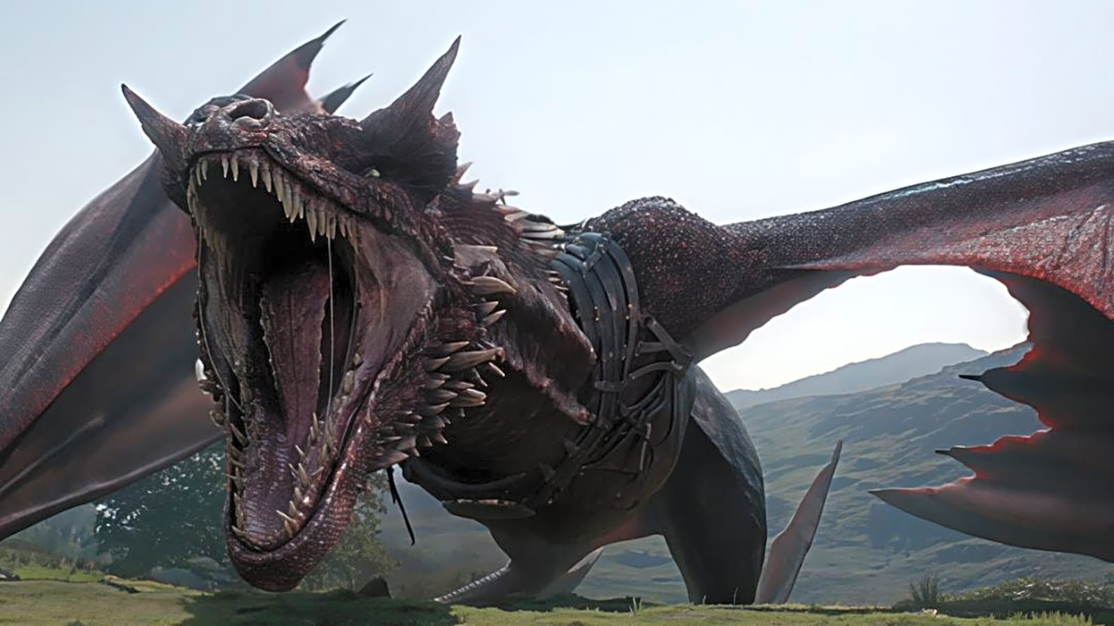 Westeros Lands in Italy's Taormina Film Festival With A Special 'House of the Dragon 'Season 3 Preview
