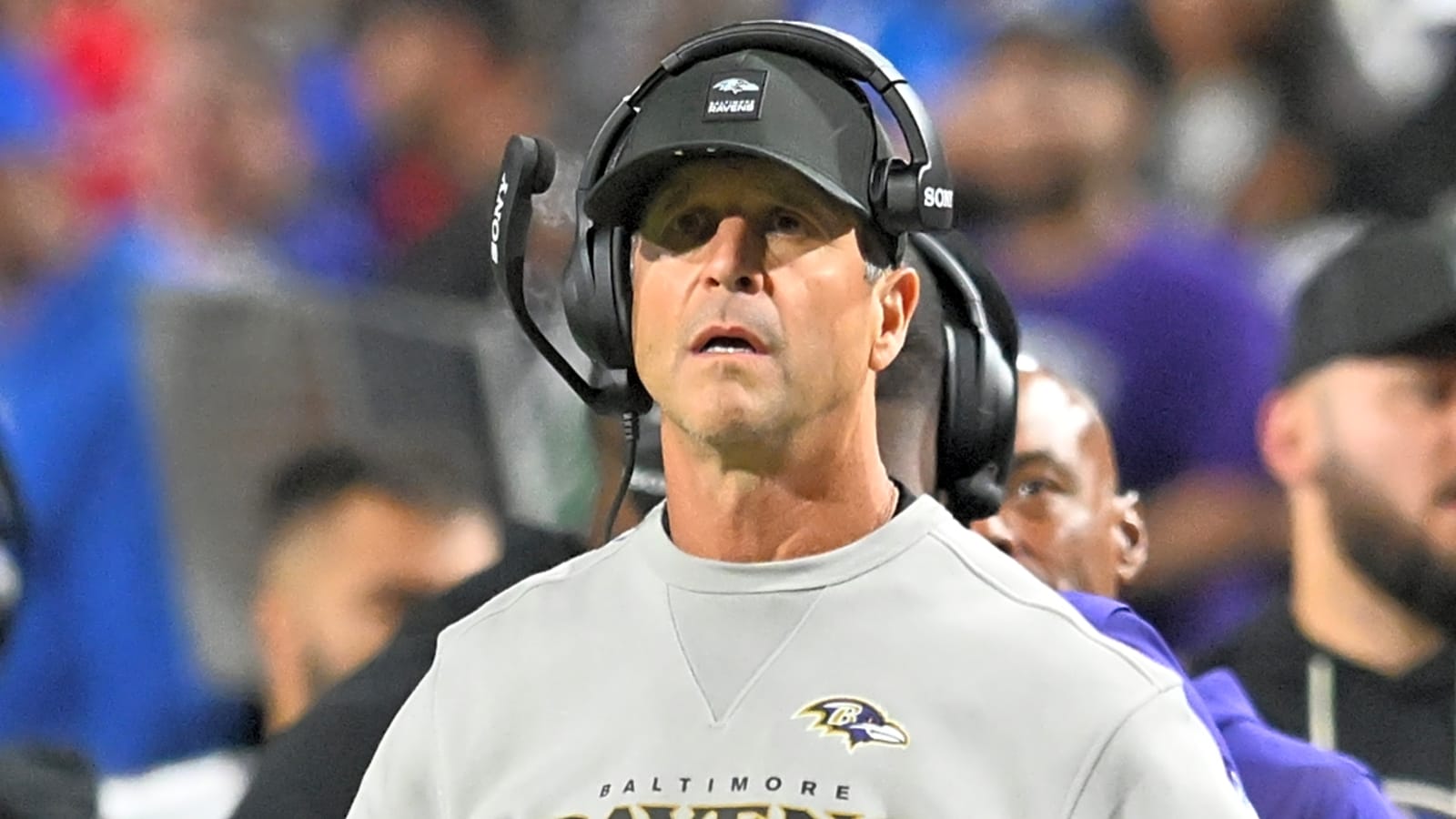 Should you buy or sell John Harbaugh-Titans buzz?