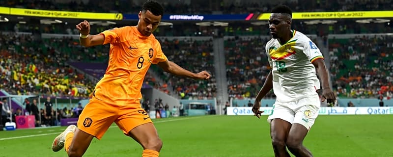 Fabrizio Romano claims Liverpool’s ‘favourite candidate’ to replace Gakpo wants Anfield move