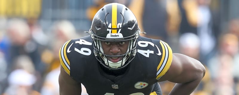 Steelers Are Now Having A Reunion After Stealing Linebacker From Panthers