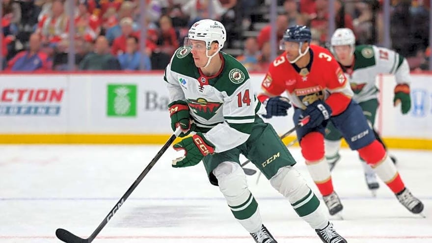 Wild extend Panthers' struggles with game-winner in closing seconds