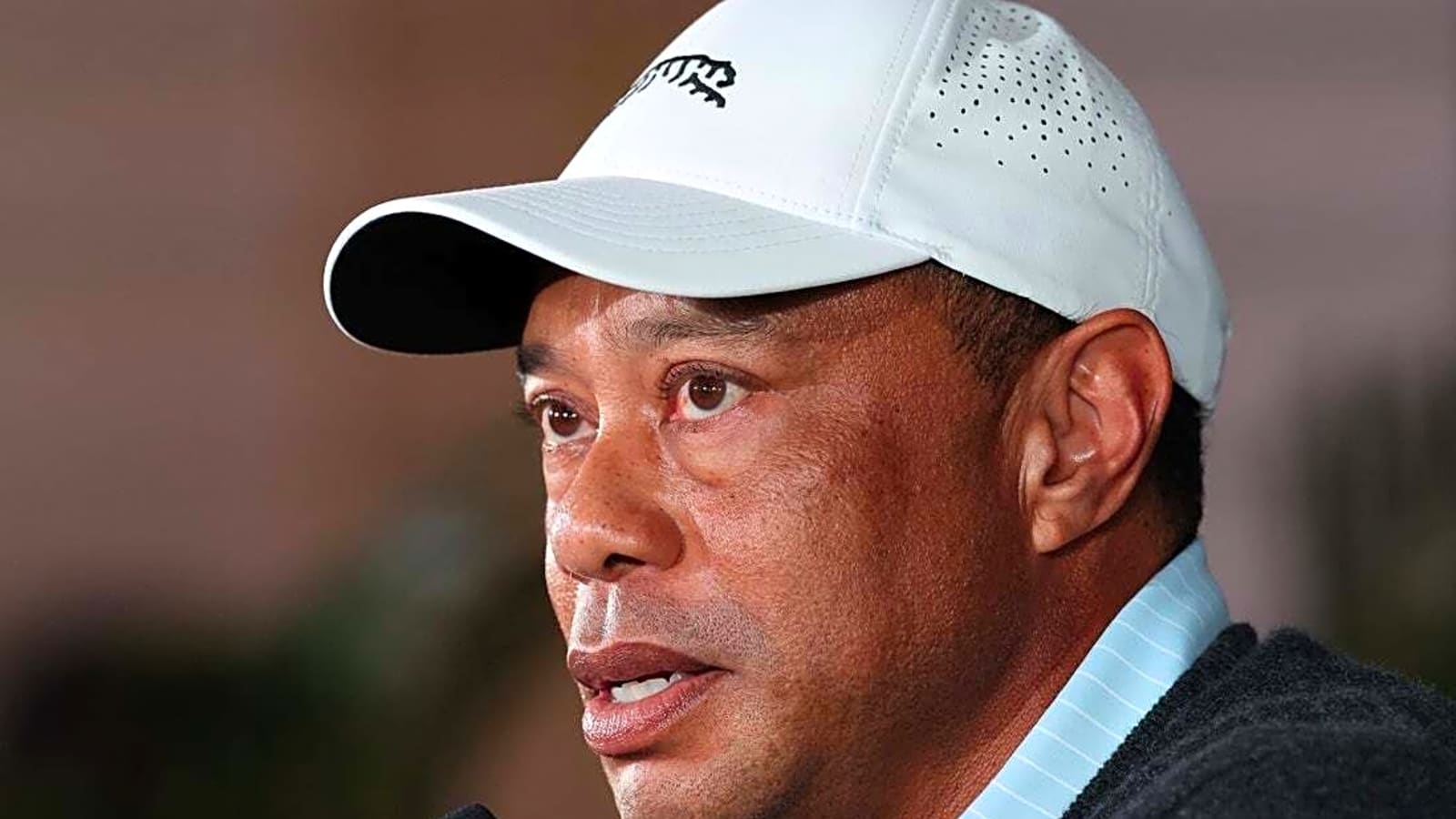 Tiger Woods pleads not guilty, is stepping away to seek treatment