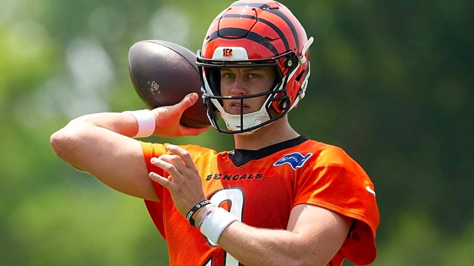Pawn shop owner pleads guilty to fencing Joe Burrow&#39;s stolen property