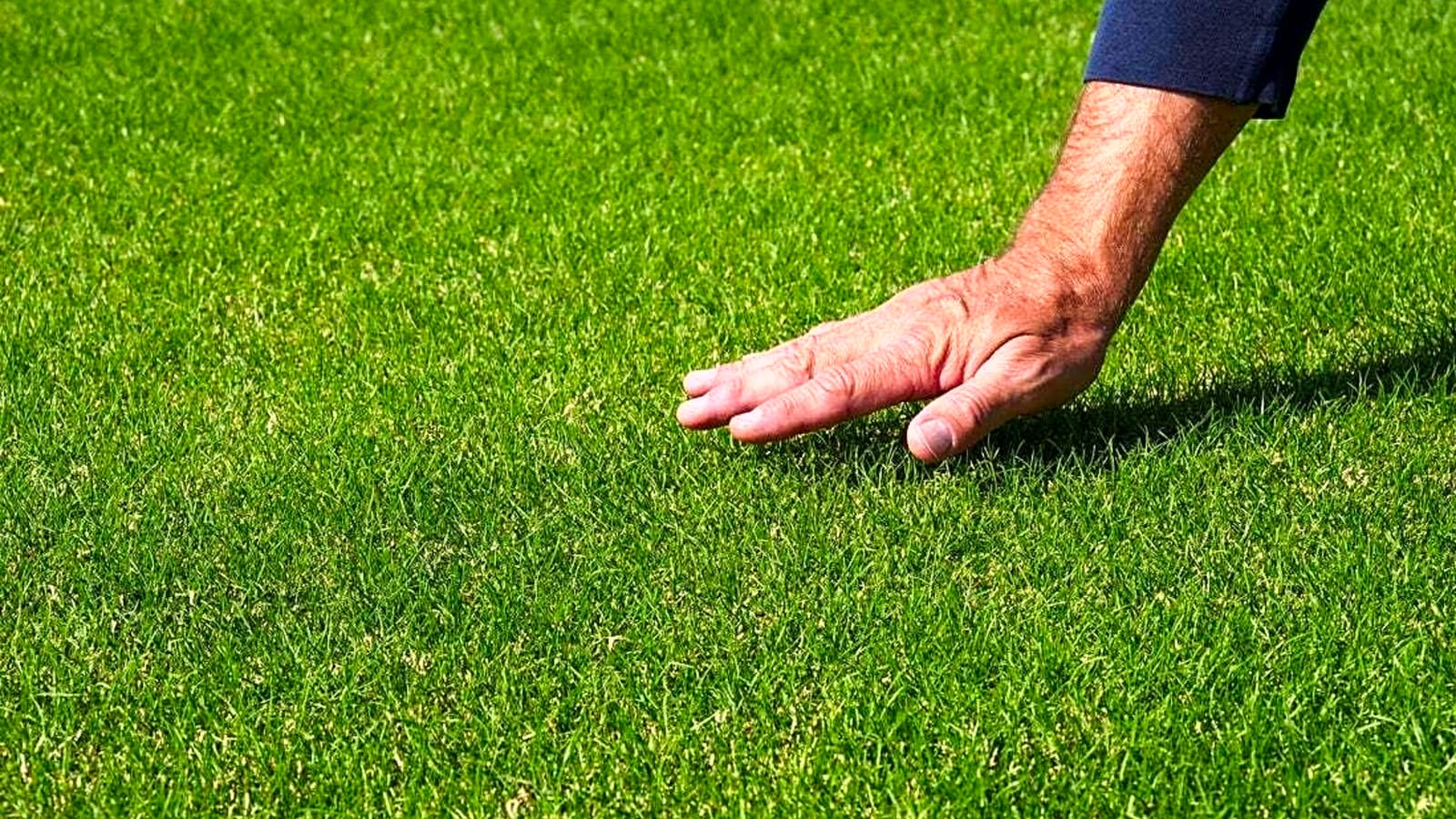 World Cup ticket holders can get priority visa appointments