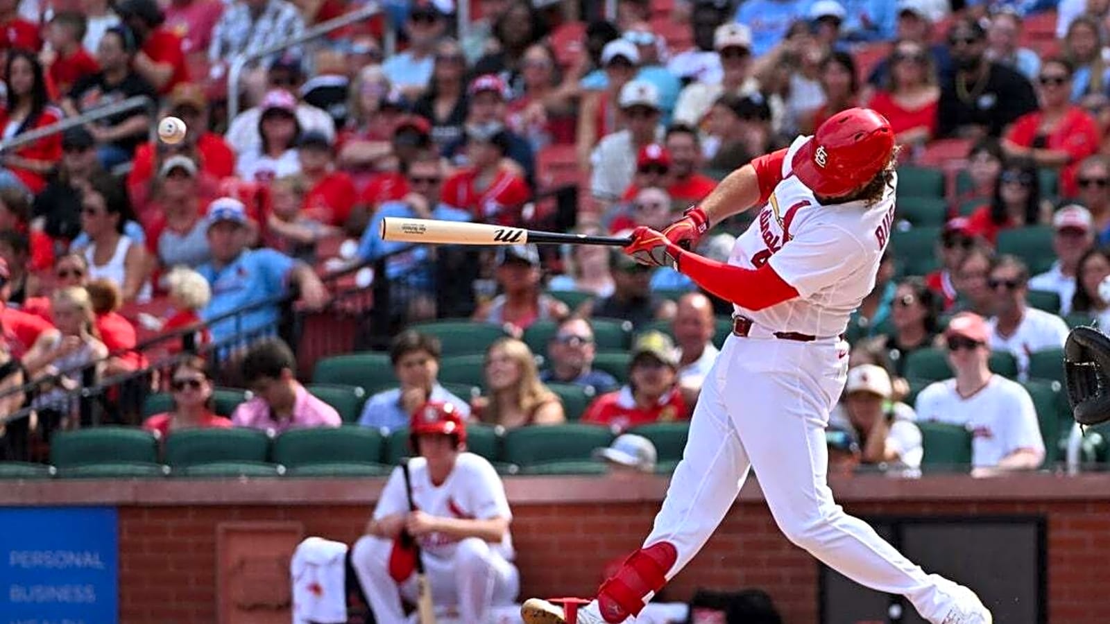 Cardinals' Alec Burleson takes aim at Landen Roupp, Giants
