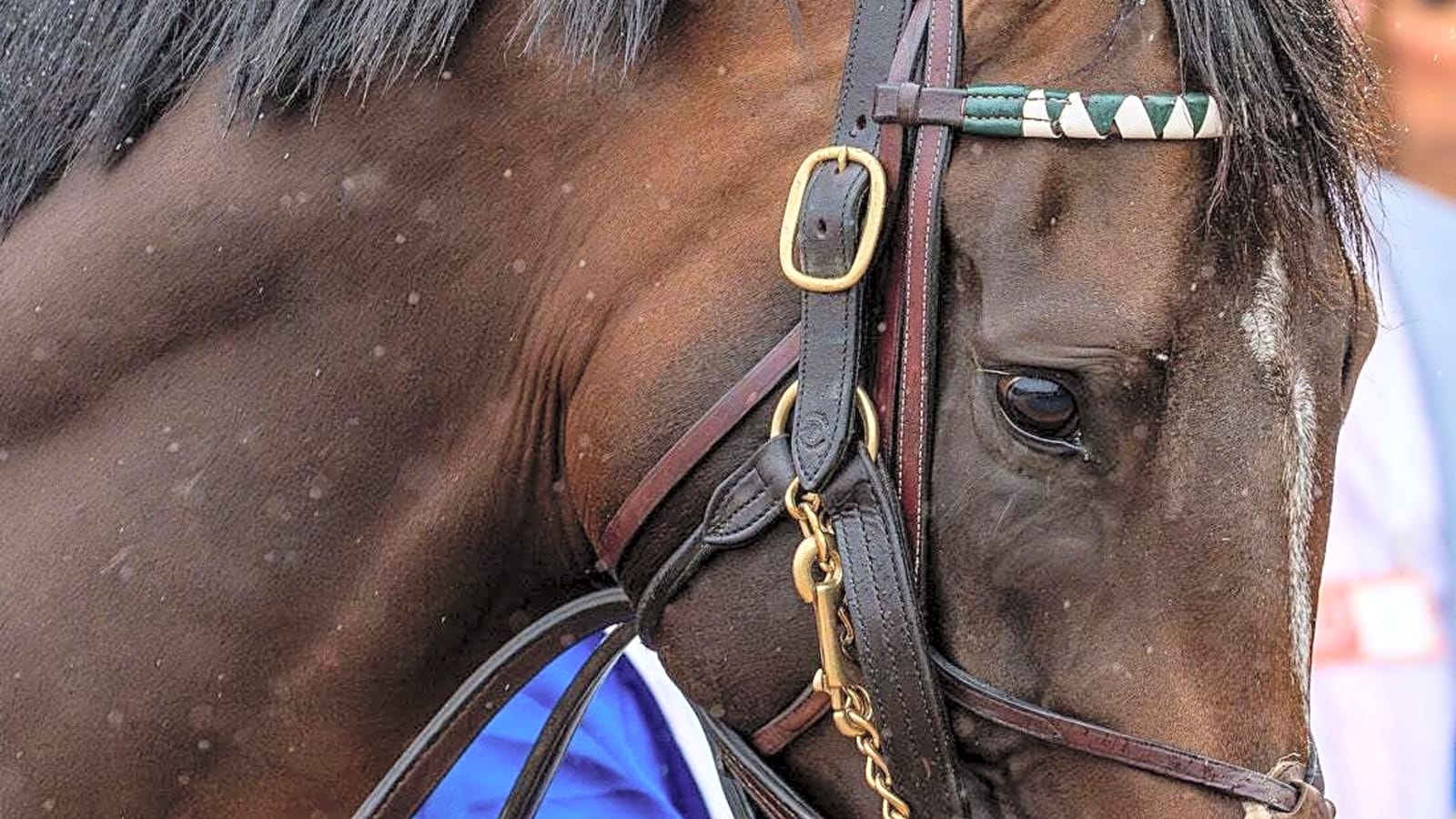 Sovereignty outruns Journalism again to win Belmont Stakes