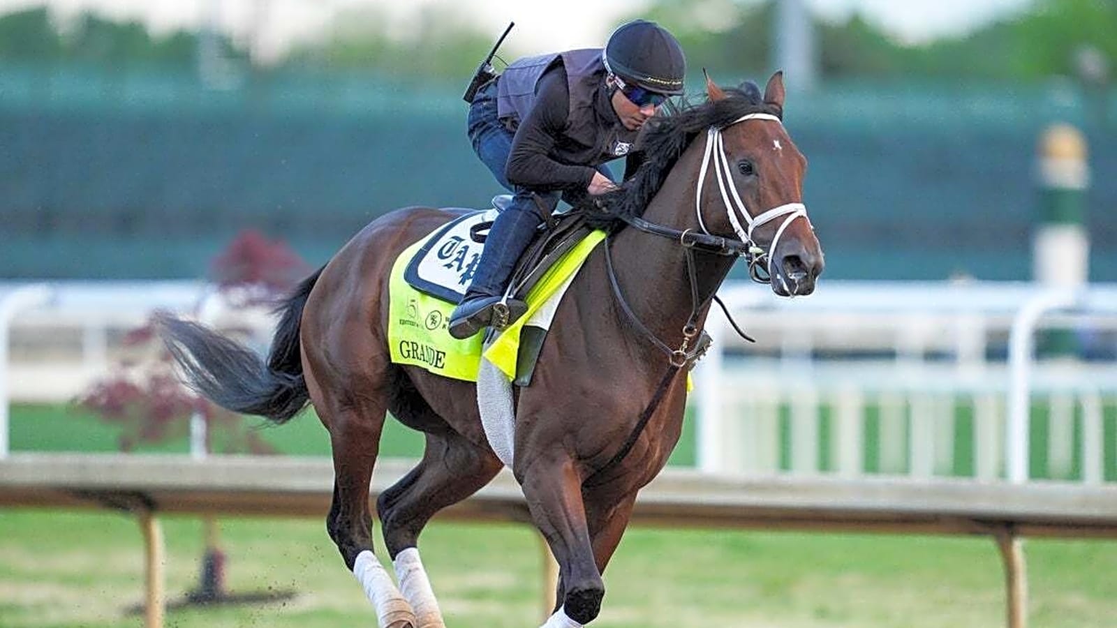 Kentucky Derby field down to 19 after Grande scratched, owner questions why