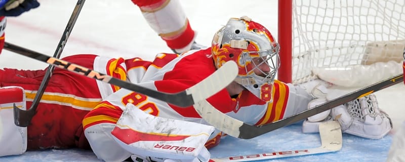 What does the Flames future hold for netminder Dan Vladar?