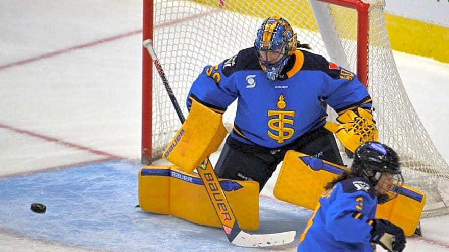 Sceptres hire Pascal Rheaume as new head coach