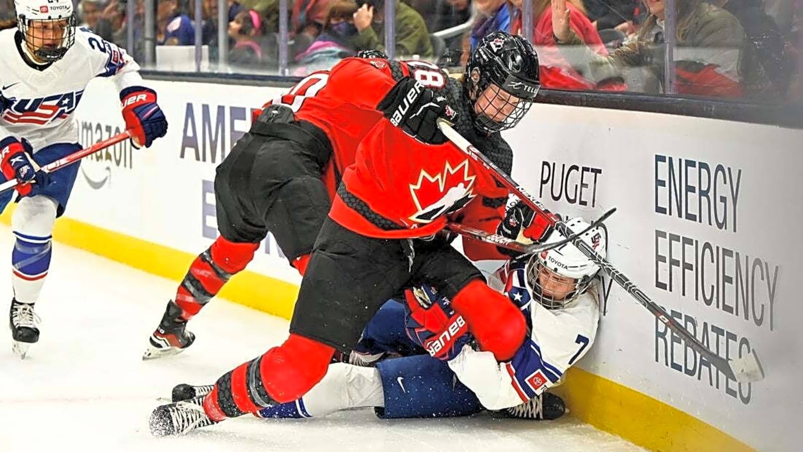 Sceptres sign F Clair DeGeorge to one-year contract