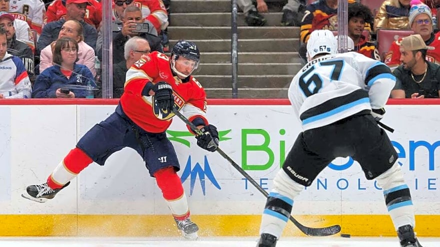 Vitek Vanecek helps Mammoth overcome Panthers