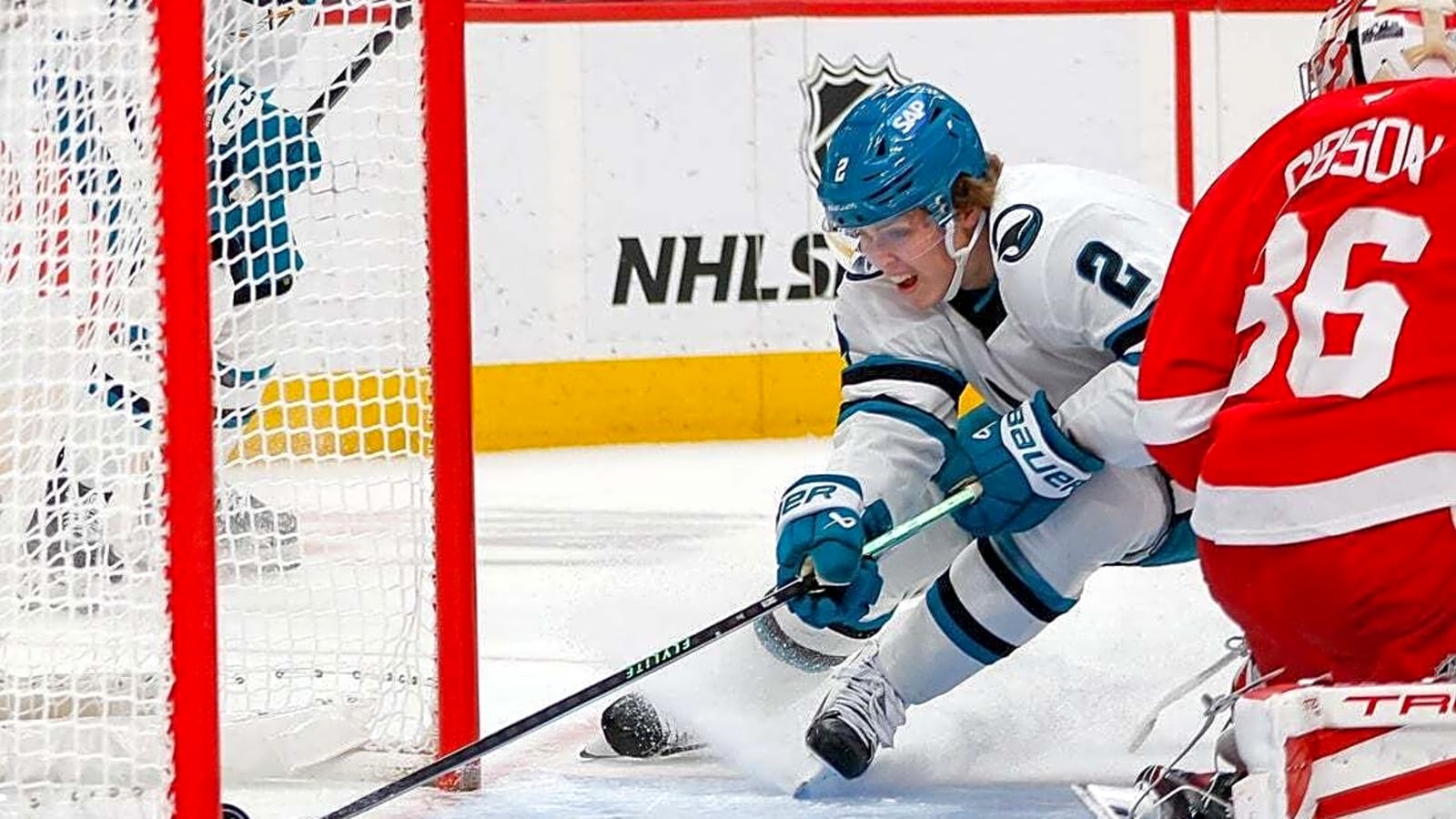 Panthers make rare January home appearance as Sharks invade