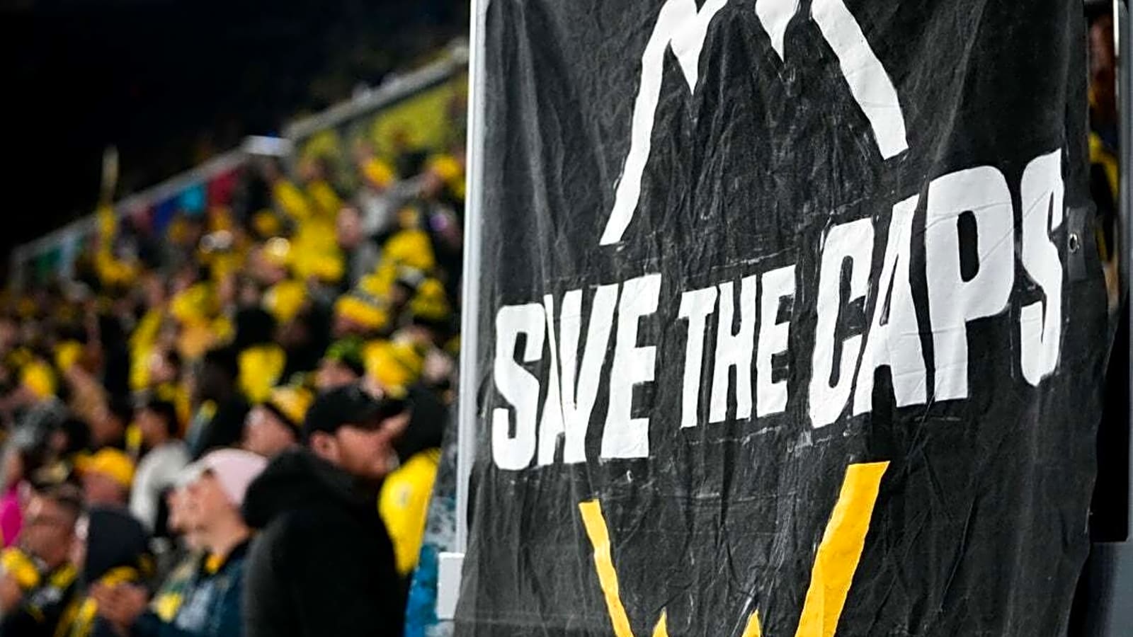 Leaders working with 'private partners' to save Whitecaps