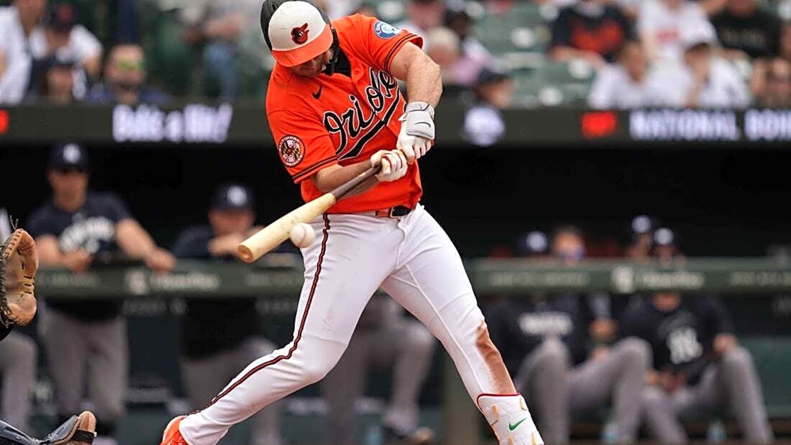 Kyle Bradish, Orioles blank Yankees to claim series