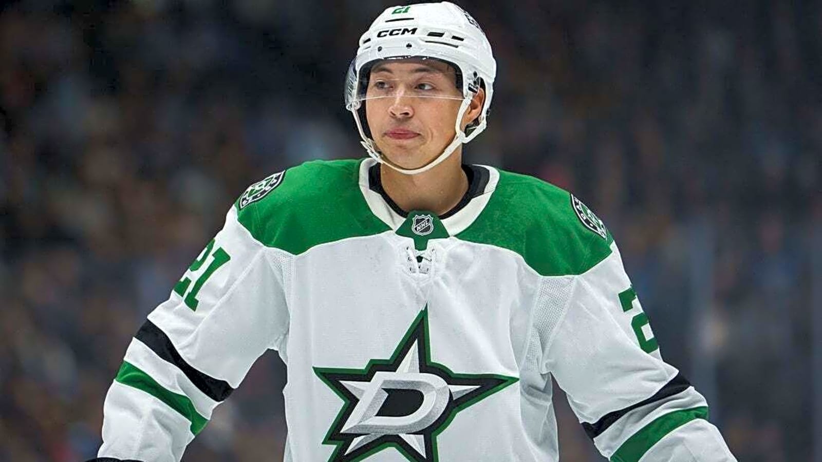 Stars bring good vibrations home as Mammoth embark on road trip