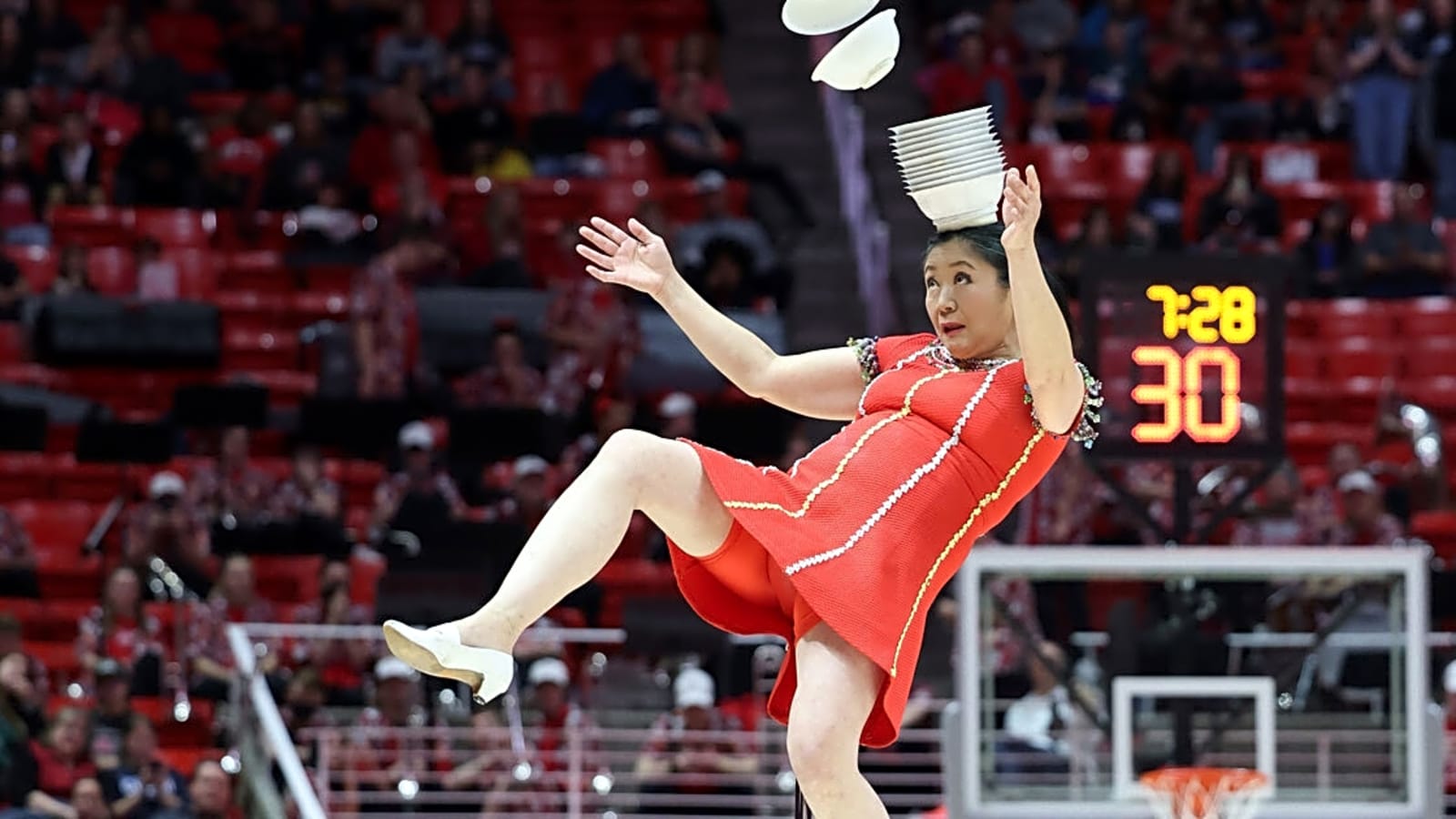 Red Panda injury update: Timeline for surgery, return emerges after hospital release