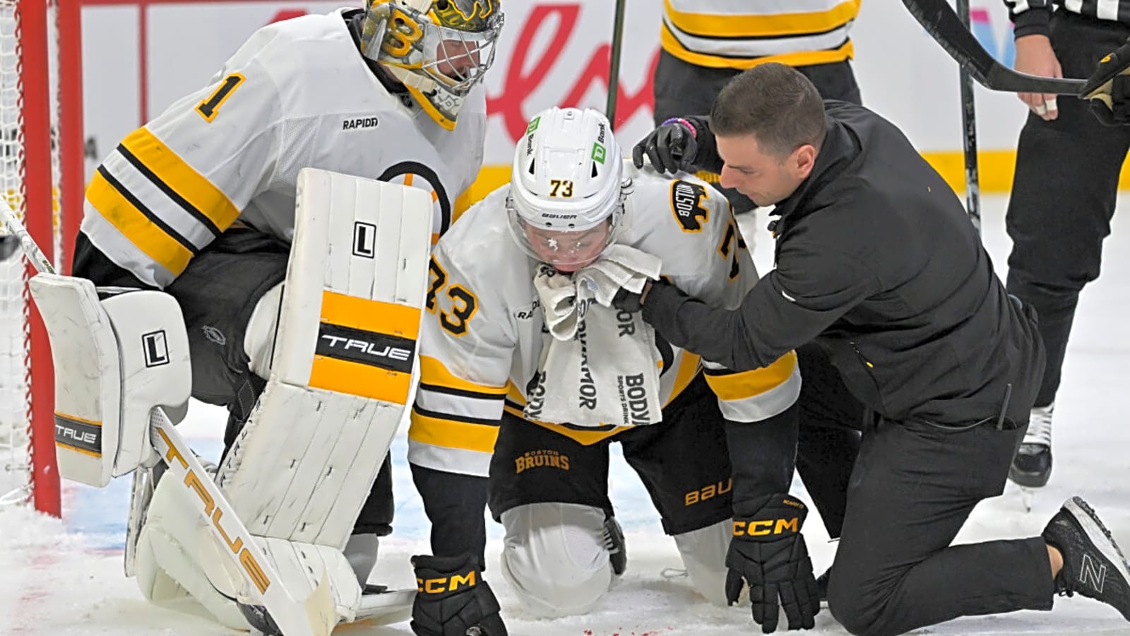 Bruins Coach Shares Charlie McAvoy Development After Canadiens Game
