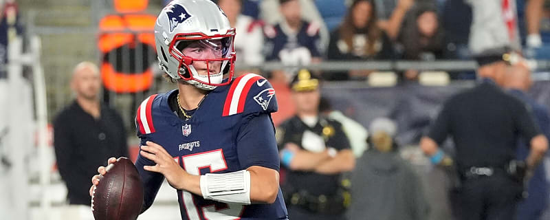 What it's like to be the Patriots emergency punter, throw game-winning TD in same game