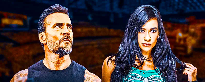 WWE stars CM Punk, AJ Lee’s dog Larry tragically passes away