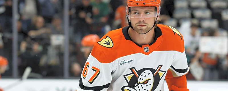 Ducks’ Hot Start Is Proof of Good Management