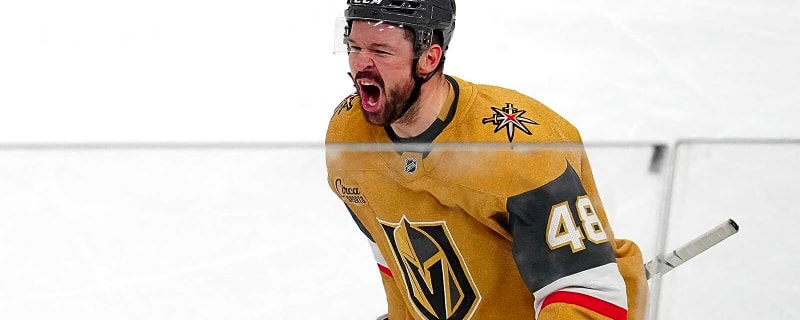 Golden Knights’ Tomas Hertl drops ‘King Kong’ truth bomb after breaking scoring slump