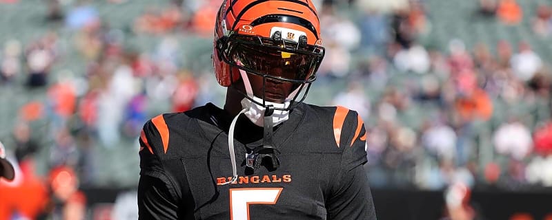 Bengals’ Tee Higgins carted off field after suffering concussion vs. Patriots
