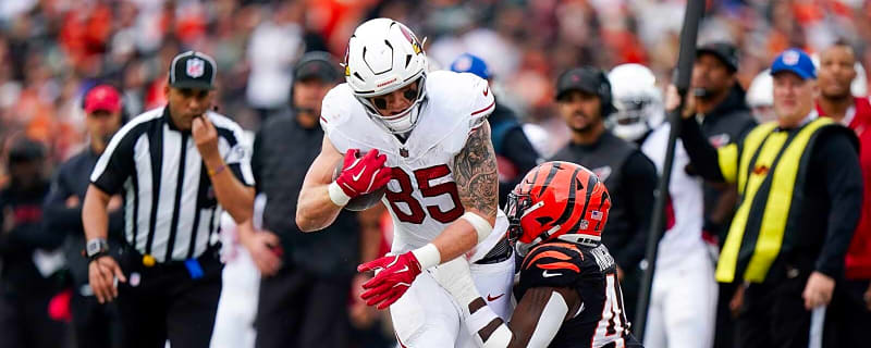 Fantasy Football Tight End Rankings: Week 18 2025