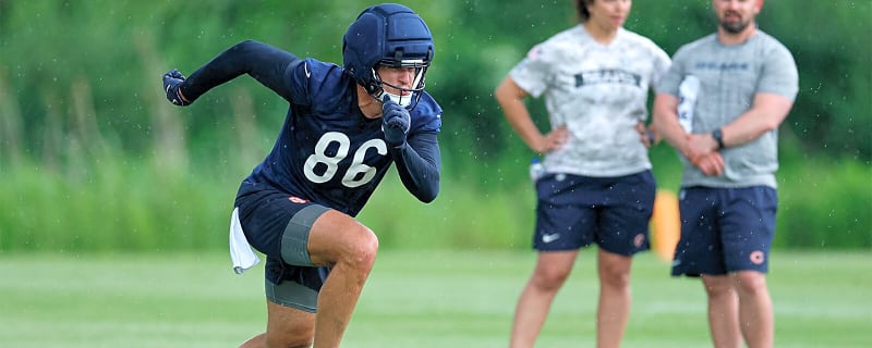 Bears tight end suffers injury scare during preseason game vs. Browns