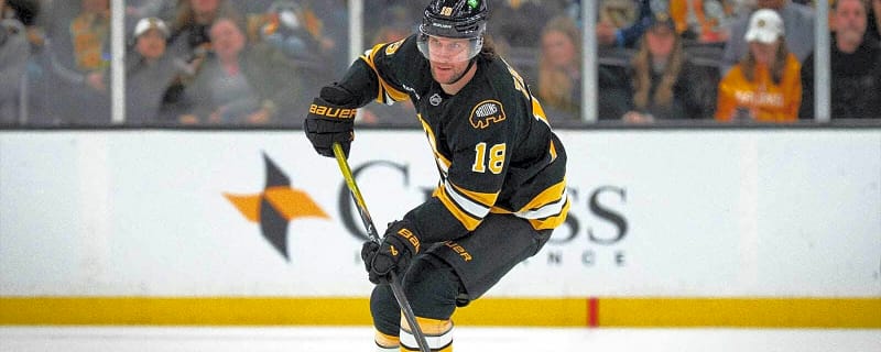 Bruins’ Pavel Zacha hit with brutal Team Czechia-Olympics update