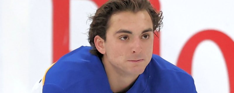 What excites new acquisition about Sharks, but it’s not Macklin Celebrini