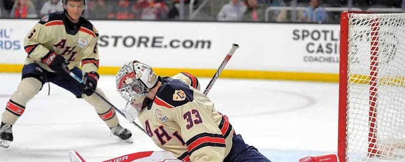 Red Wings call up goaltender amid John Gibson injury