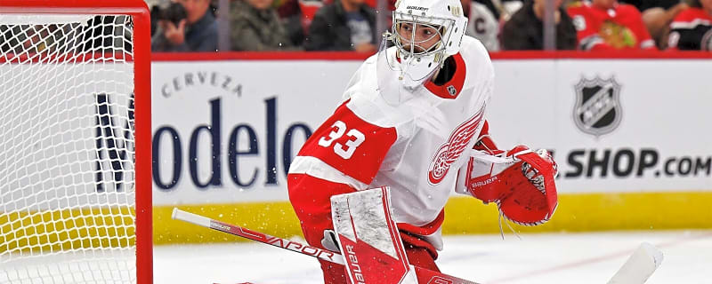  Red Wings trade candidate named as Oilers target