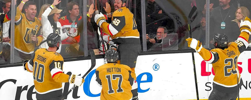 Golden Knights forward Tomas Hertl makes wild claim after snapping cold stretch in NHL playoffs